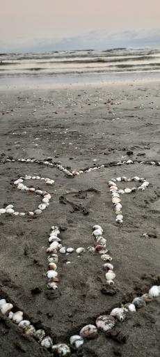 عکس ساحل دریا