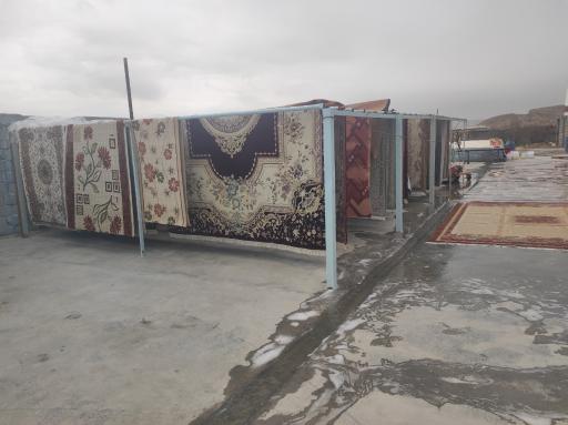 عکس قالیشویی سپهر 