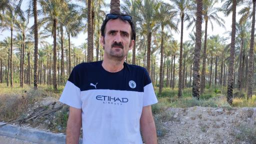 عکس پارک امام علی