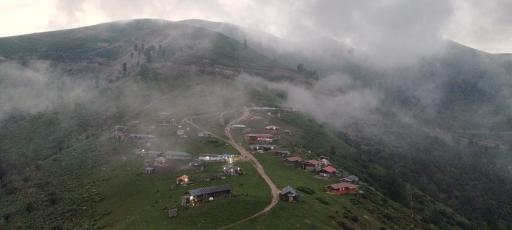 عکس سوئه چاله