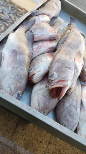 عکس شهرک عرب ها