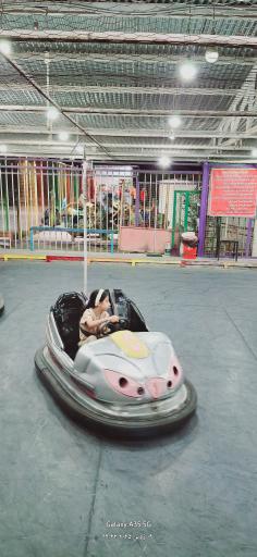 عکس شهربازی پارک شقایق