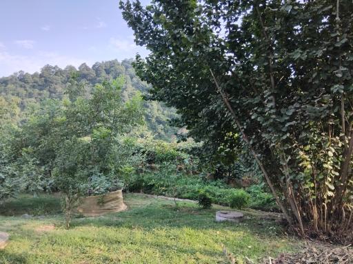 عکس اقامتگاه بوم گردی خشایار