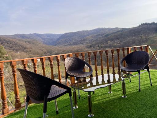 بومگردی ماه تی تی