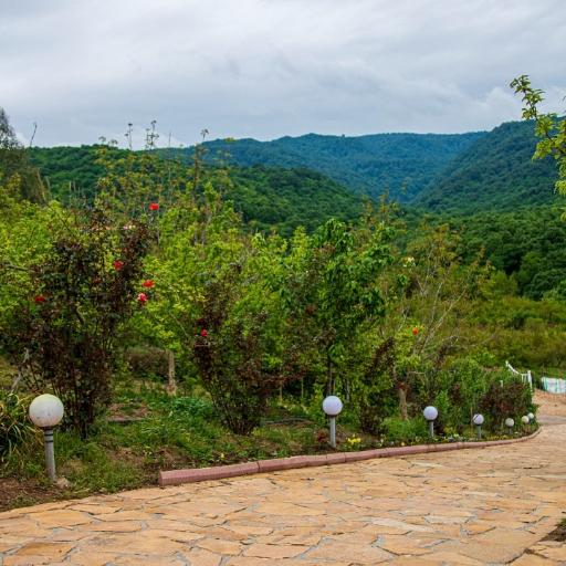 بومگردی ماه تی تی