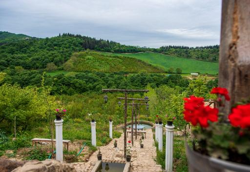 بومگردی ماه تی تی