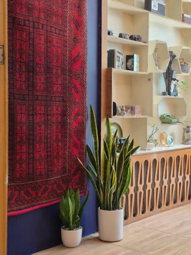 عکس کافه کتاب خانه فیروزه