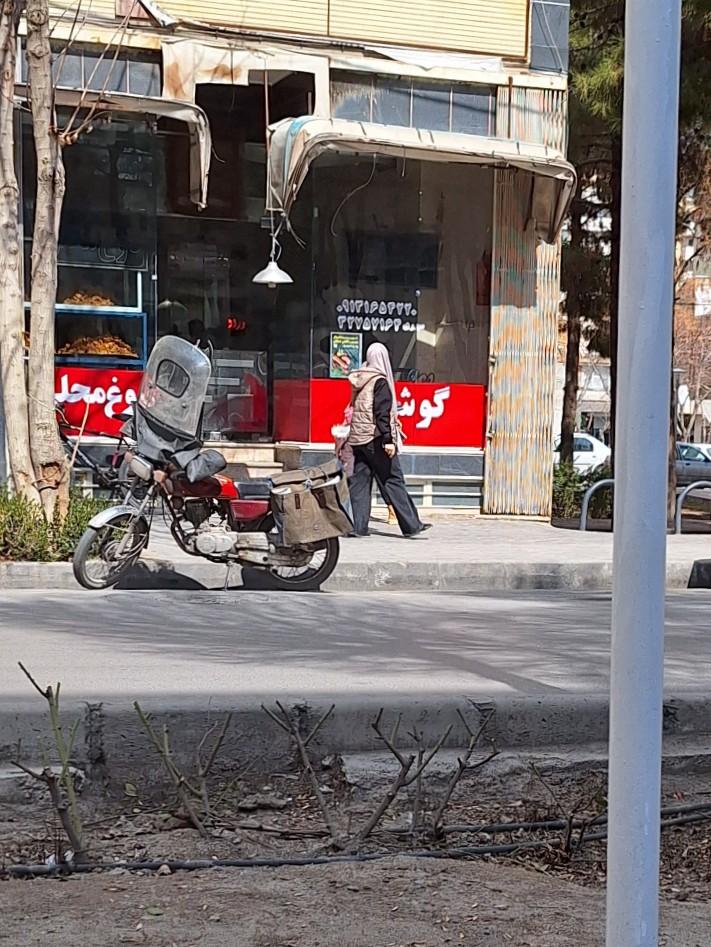 عکس دوغ و گوشفیل