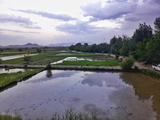 عکس ورنامخواست