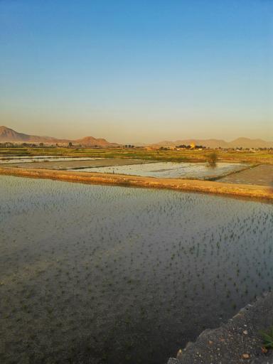 عکس ورنامخواست