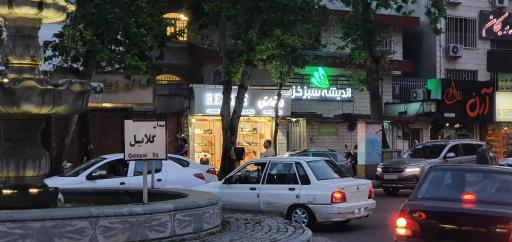 عکس چرم رضائی 