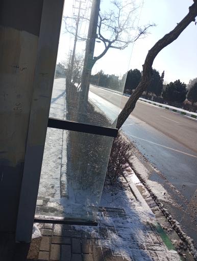 عکس  پیروزی 24