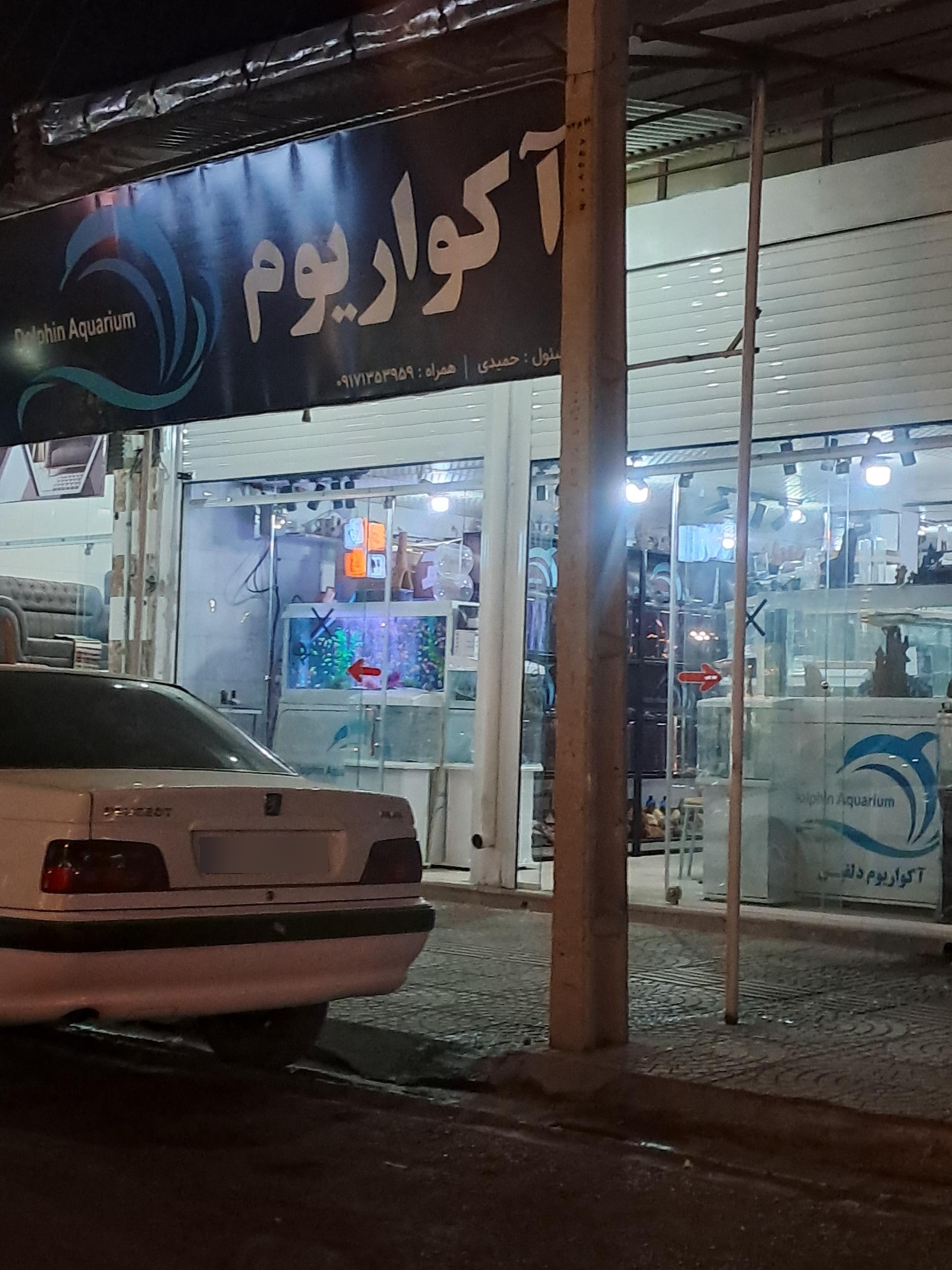 عکس آکواریوم دلفین