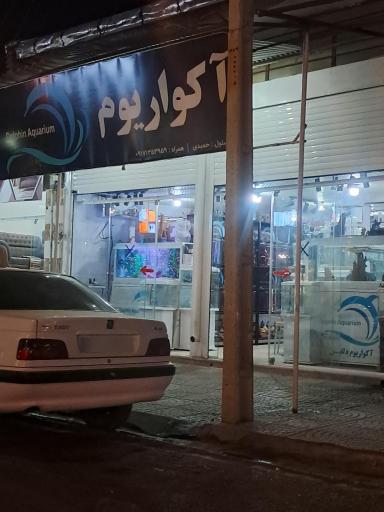 آکواریوم دلفین