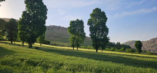 عکس روستای دره اسپر