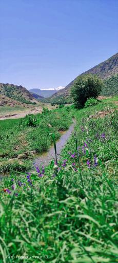 عکس روستای دره اسپر