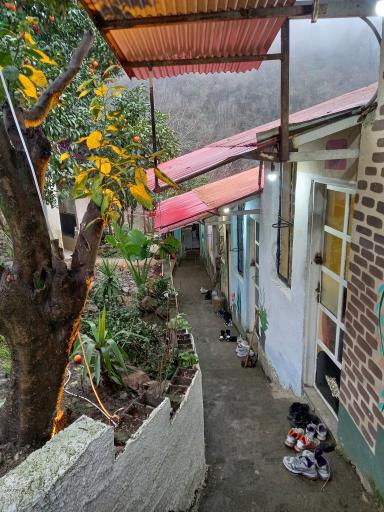 عکس کافه کبابی شوروم