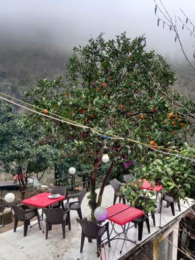 عکس کافه کبابی شوروم