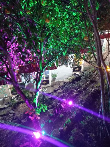 عکس کافه کبابی شوروم