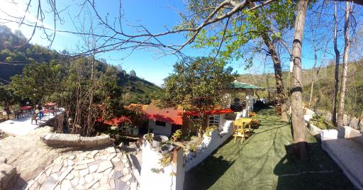 عکس کافه کبابی شوروم