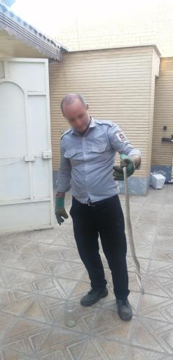 عکس ایستگاه آتش نشانی و خدمات ایمنی دیزیچه