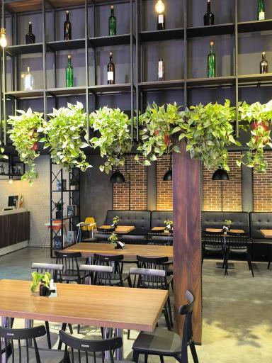 عکس دراگون ژو