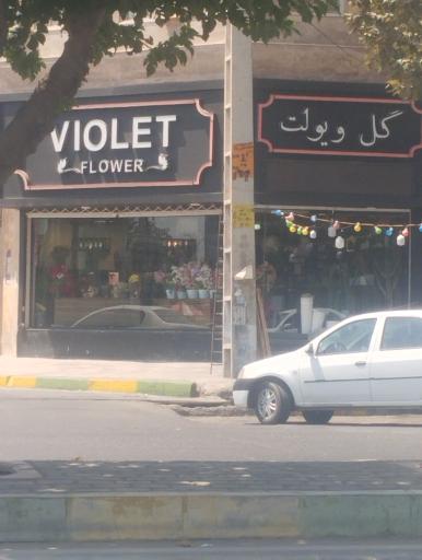 عکس گل ویولت