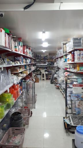 عکس پلاسکو برادران طالبی