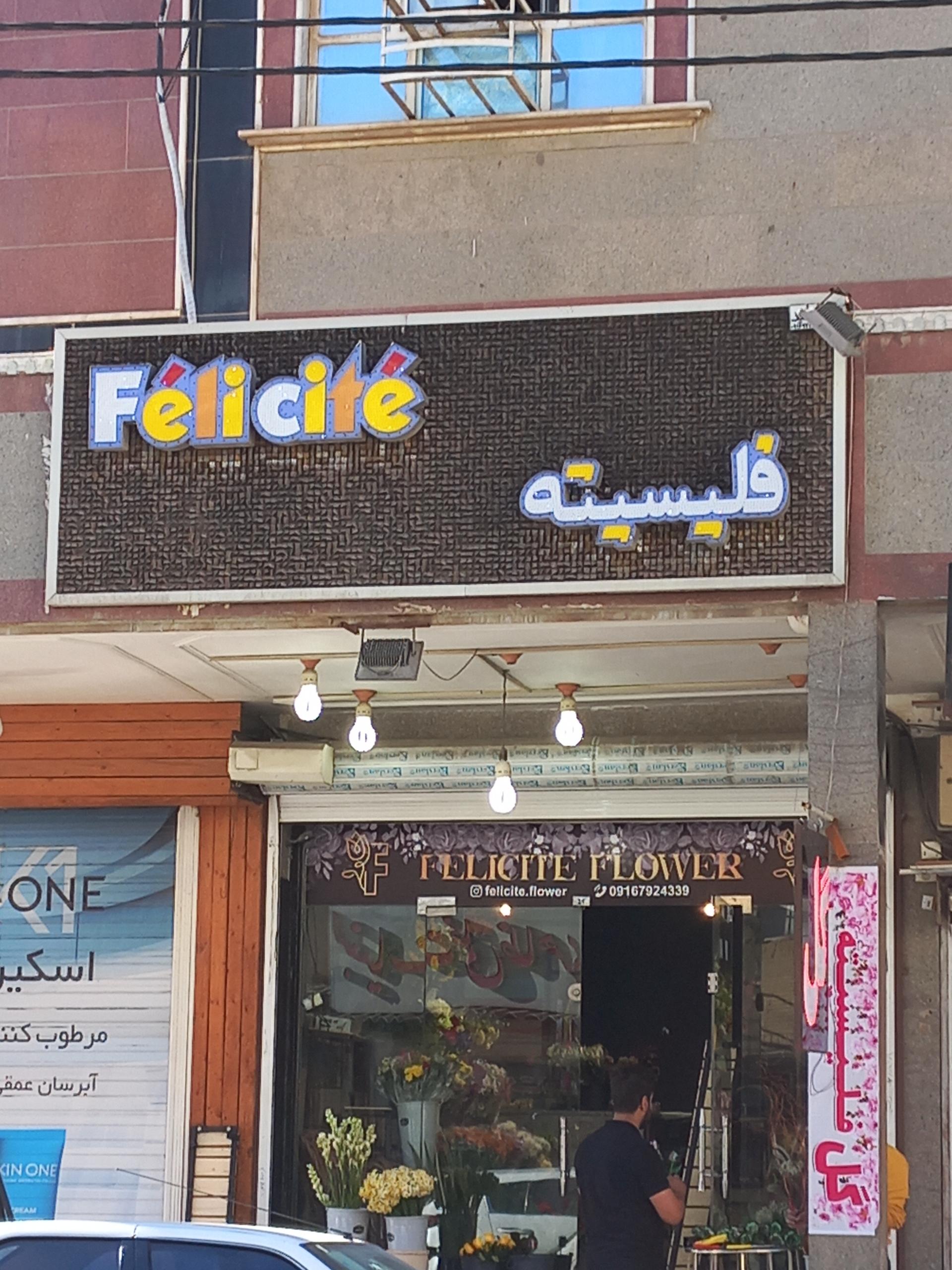 عکس گل فلیسیته