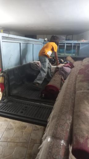 عکس قالیشویی و مبل شویی گل ابریشم چمنی