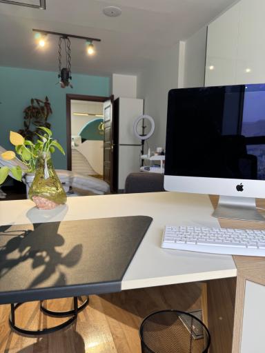 عکس کلینیک رز سفید