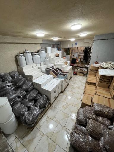 عکس کشمشکده