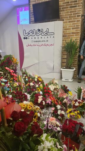 عکس پوشاک خانواده سامان لعیا