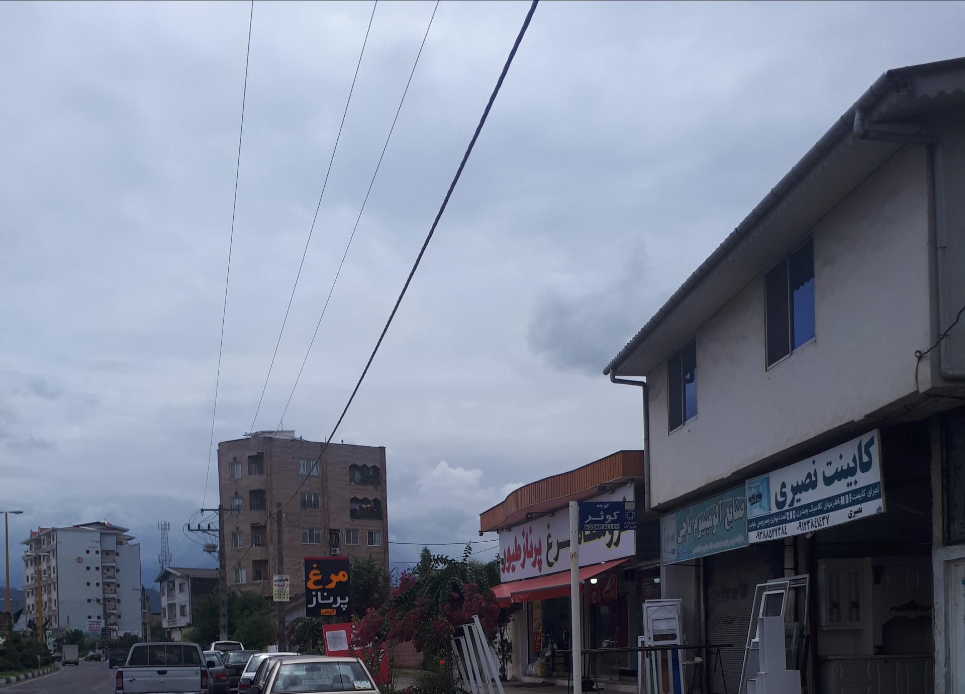 عکس مرغ پرناز