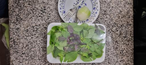 عکس کبابی نوبهار برادران نصرالهی