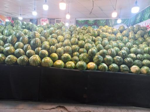 عکس میوه فصل