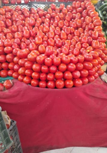 عکس میوه فصل