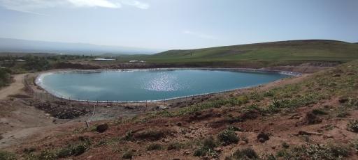 عکس فلج