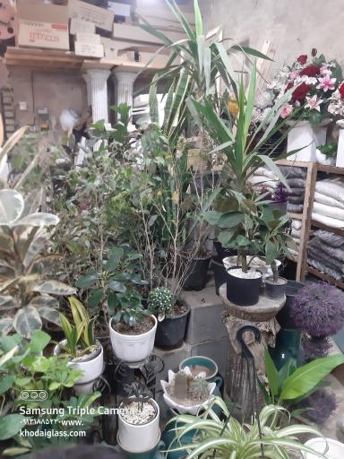 عکس گل فروشی مهد گل 