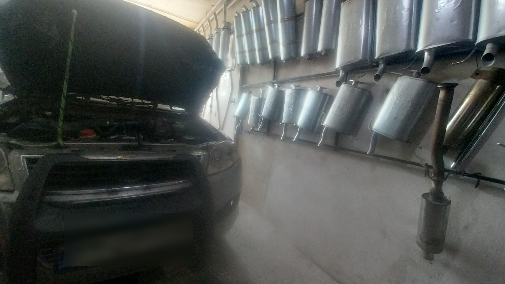 عکس اگزوز سازی سوشیانت