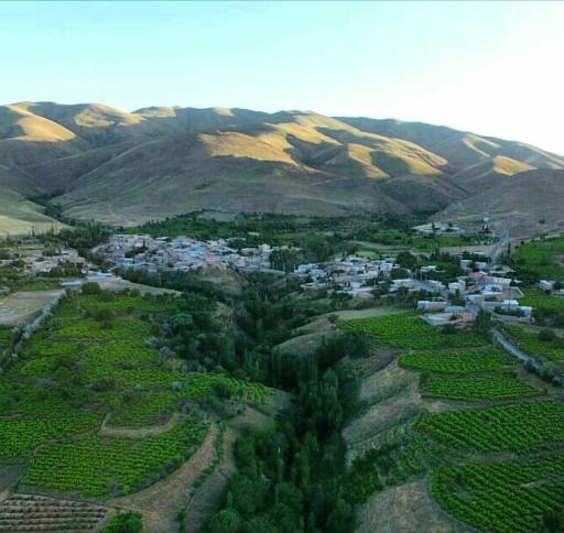 عکس فلج