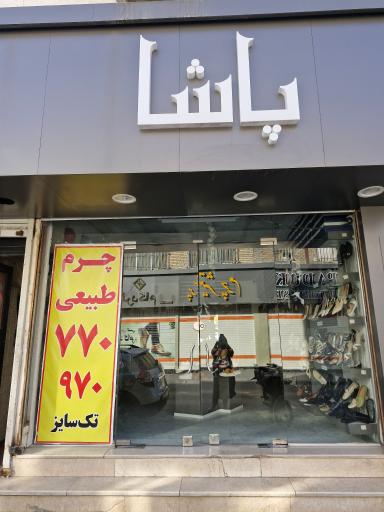 عکس کفش پاشا
