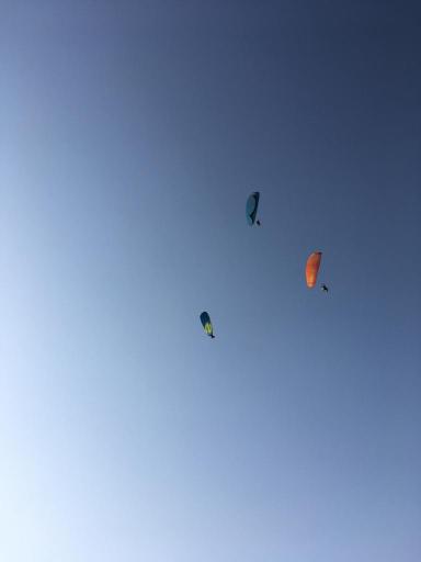 عکس پرواز تفریحی پاراگلایدر پاراتندم (کاپیتان محمد حداد)