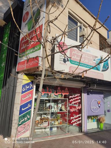 عکس شوش بلور 