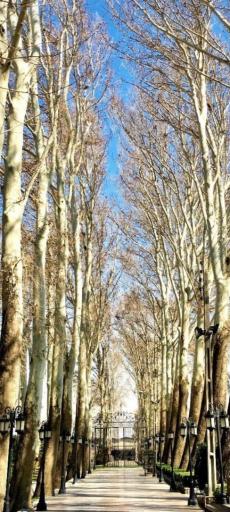 باغ آتلیه مانلی