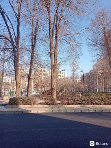 عکس پارک فجر