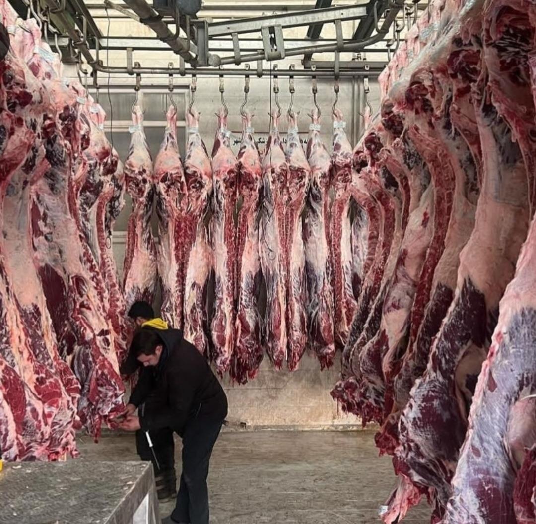 عکس شرکت سامین فراز آرکا 