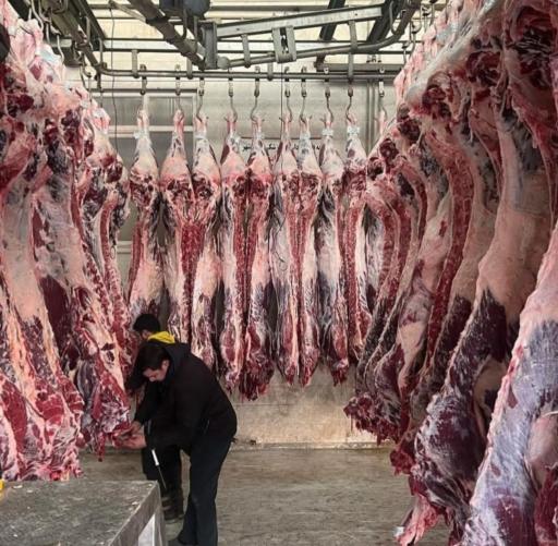 عکس شرکت سامین فراز آرکا 