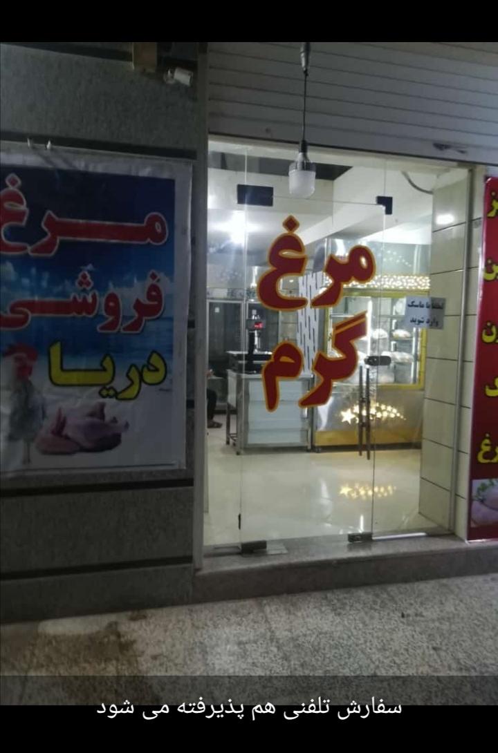 عکس مرغ فروشی دریا