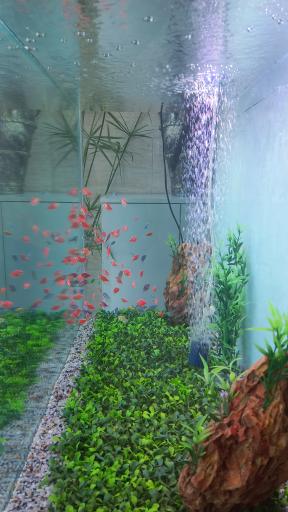 عکس آکواریوم جهان